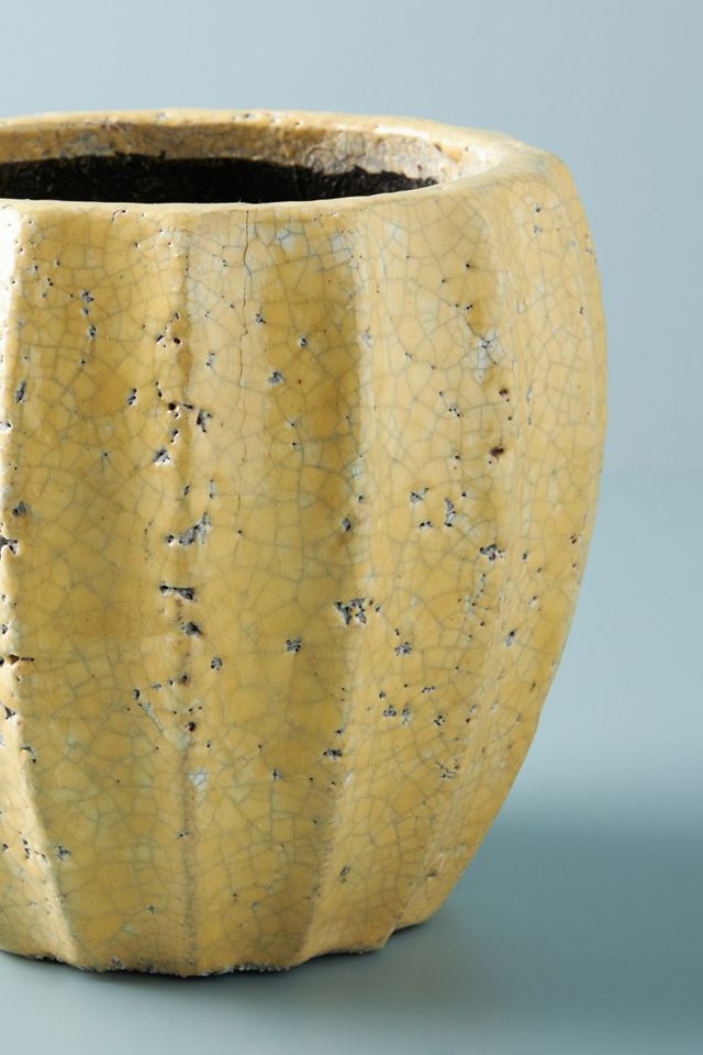 Sonny Pot #6