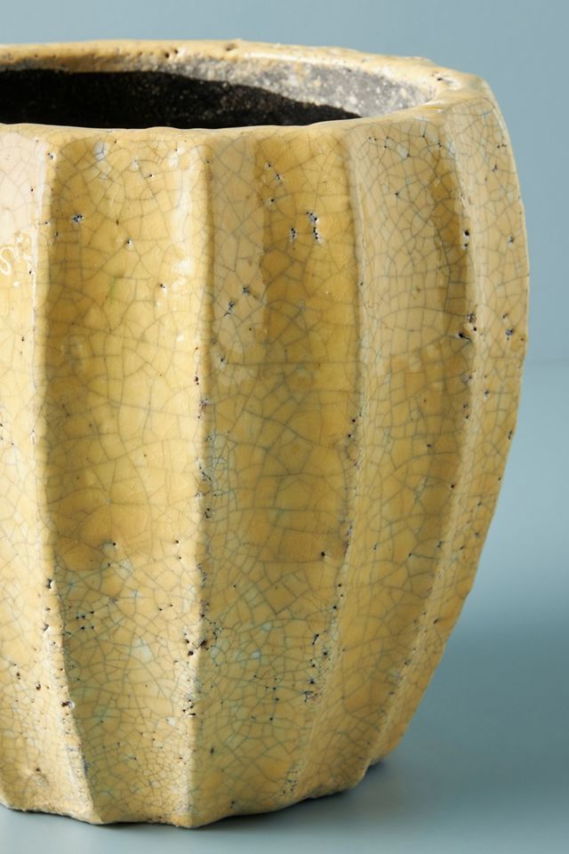 Sonny Pot #8