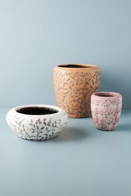 Beatrice Pot