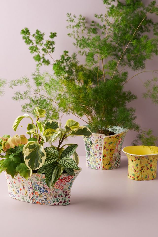 Parsley Sage Pot