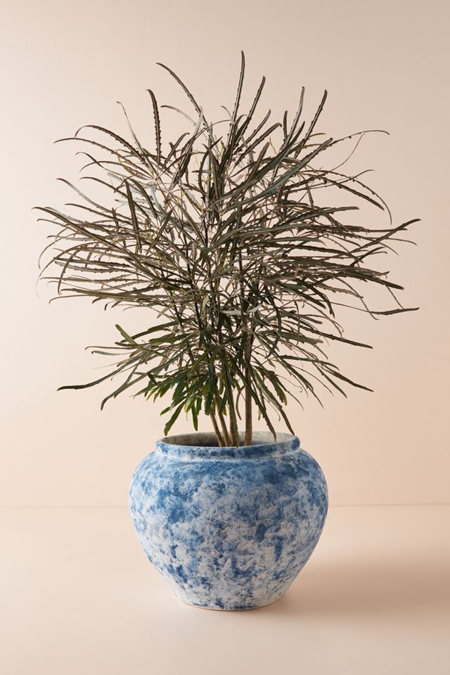 Etna Pot #1