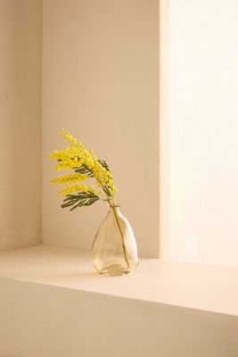 Glass Bud Vase