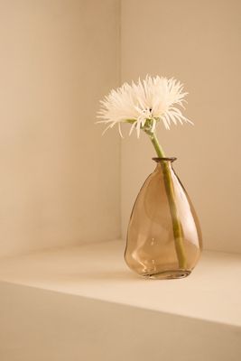 Jarrón de Cristal para Brotes