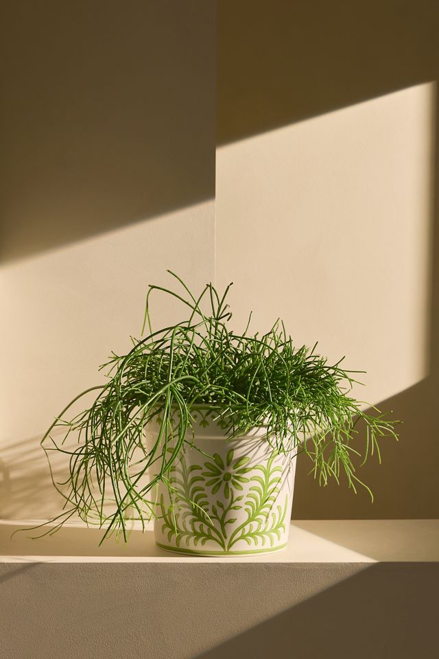Vaso in Ceramica Smaltata con Motivo Floreale #2