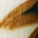 Tall Leaf