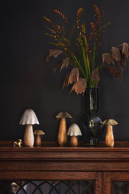 Toadstool Decorative Object