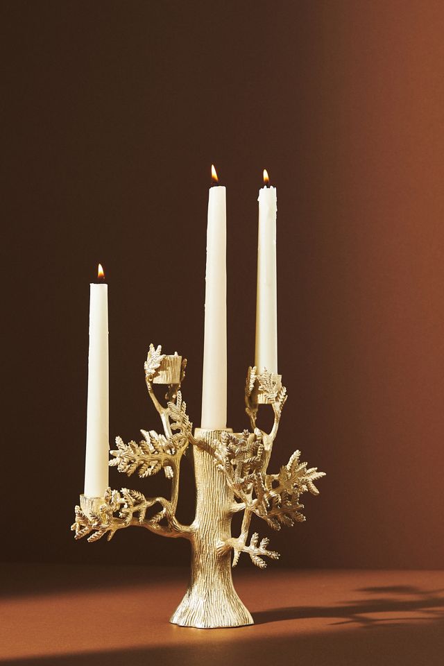 Arden Taper Candle Holder #3