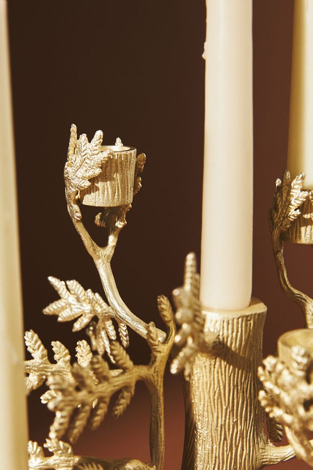 Arden Taper Candle Holder #4
