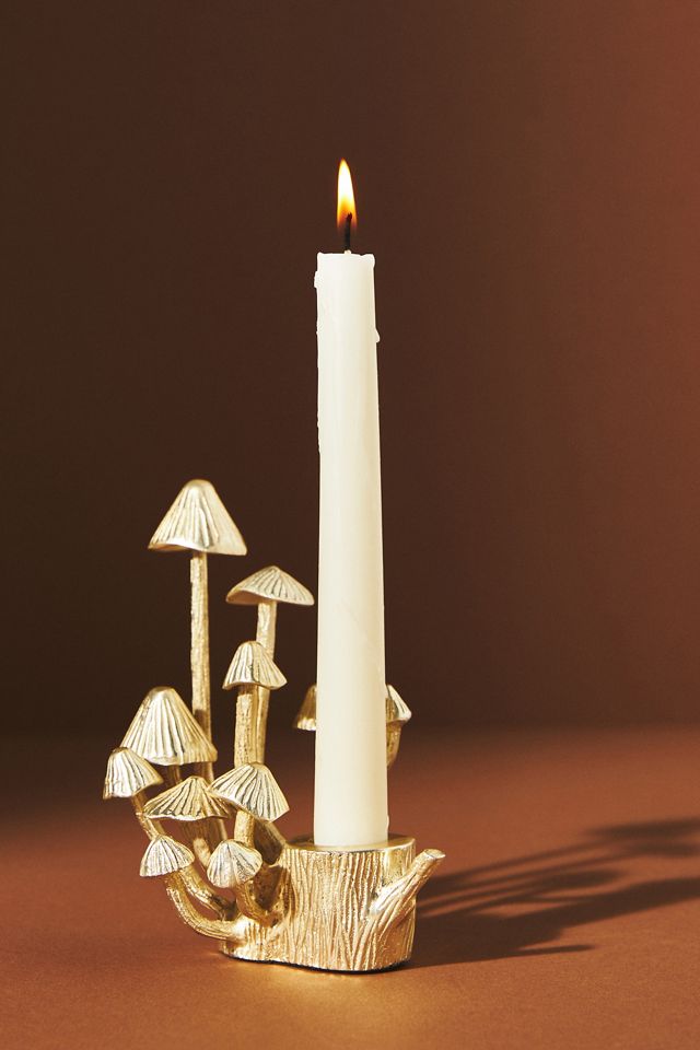 Arden Taper Candle Holder #6
