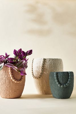 Mesa Pot