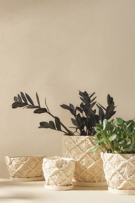 Macrame Cement Planter