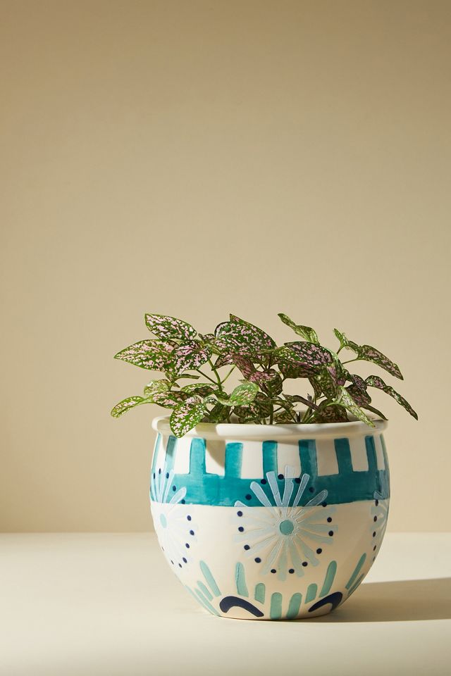 Prima Garden Pot Anthropologie UK