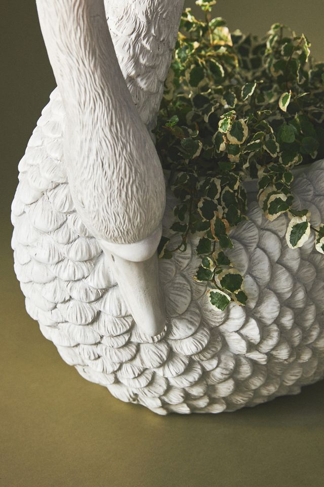 Vaso a Cigno Matilda Goad & Co. #6