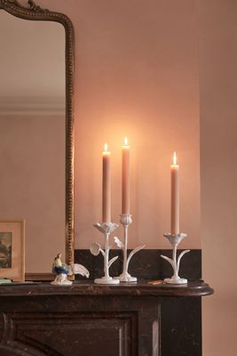 Fiori Arte Taper Candle Holder