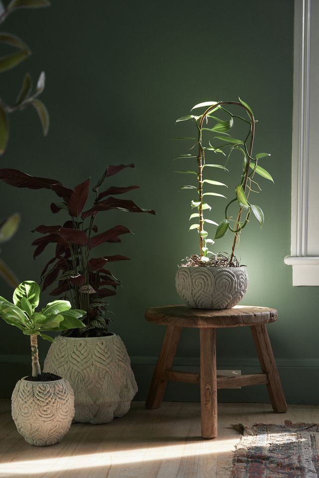 Yoko Textured Pot #1
