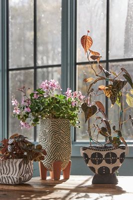 Lorena Planter