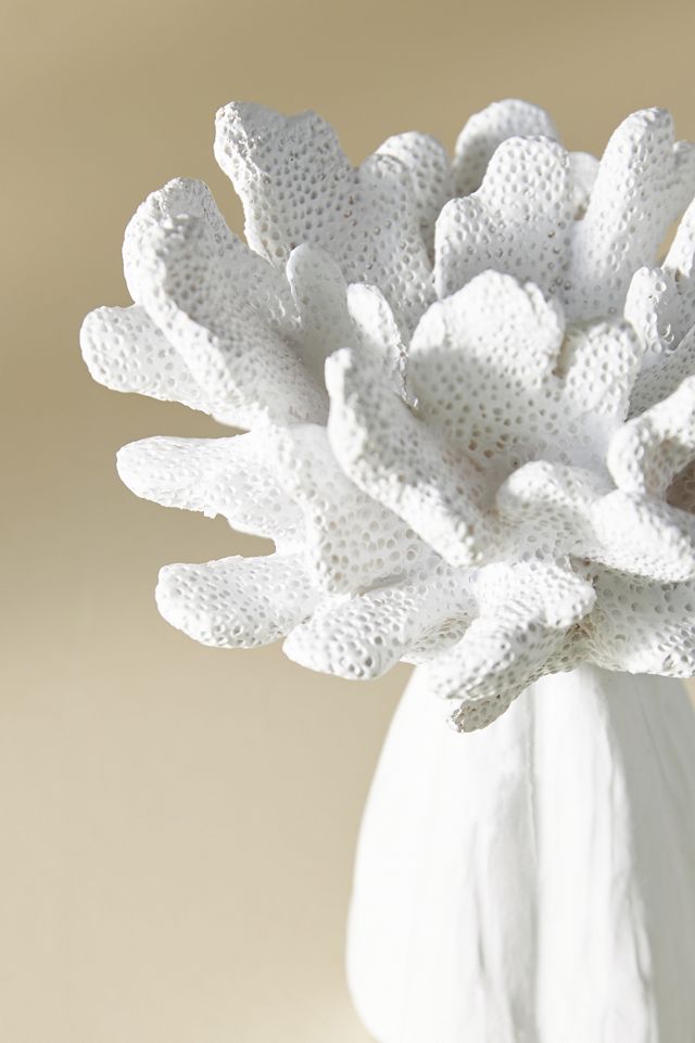 Coral Candleholder #6