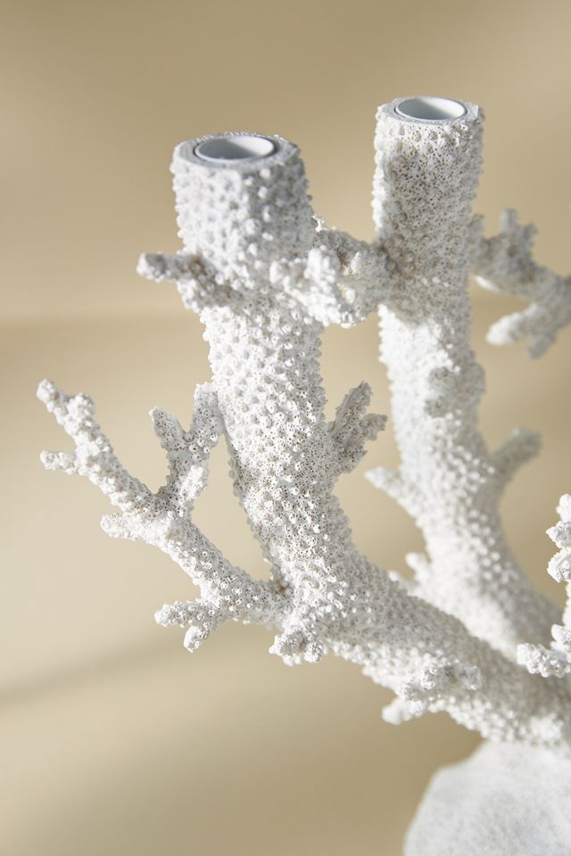 Coral Candleholder #9