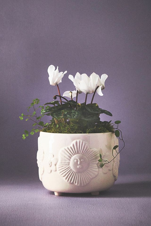 Francesca Kaye Garden Pot #5