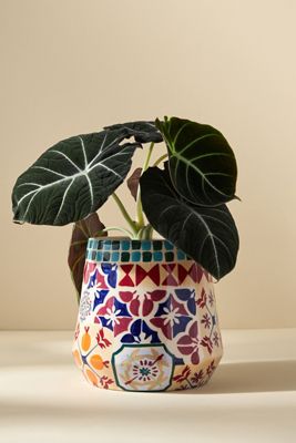Socorro Tile Planter