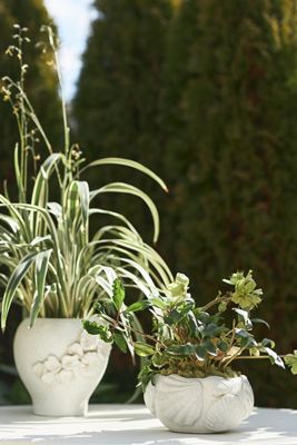 Coastal Garden Pot