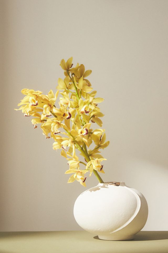 Ferrara Vase #5