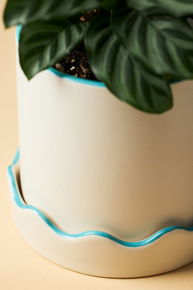Scalloped Ceramic Pot