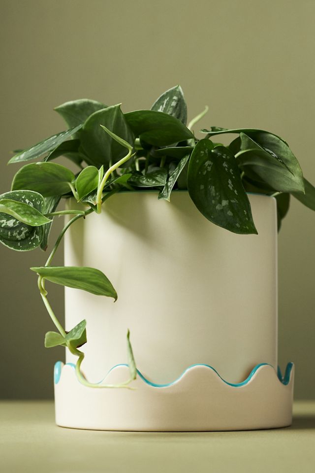 Scalloped Ceramic Pot