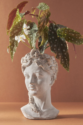Celestial Grecian Bust Cement Pot
