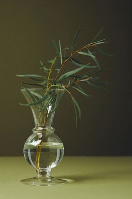 Claire Clear Glass Bud Vase
