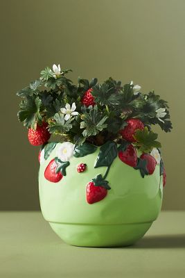 Anthropologie Foster Stoneware Flower Pot In Green