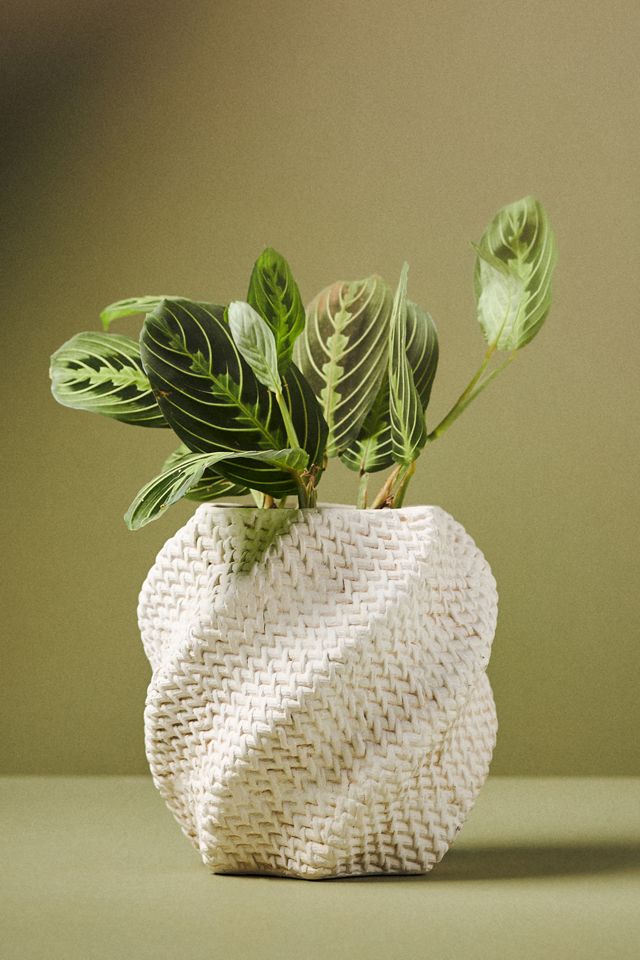 Lennon Textured Planter #3