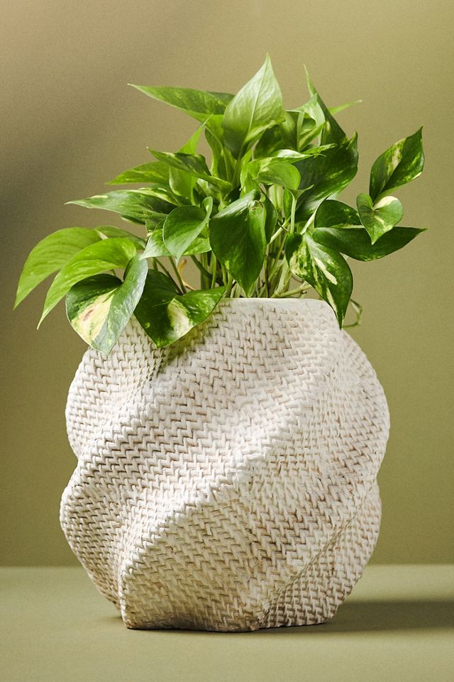 Lennon Textured Planter #6
