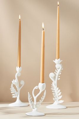 Fiddlehead Fern Taper Candle Holder
