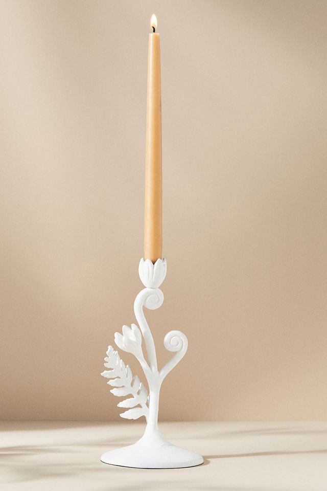 Fiddlehead Fern Taper Candle Holder #4