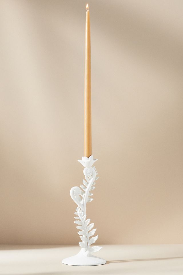 Fiddlehead Fern Taper Candle Holder #7