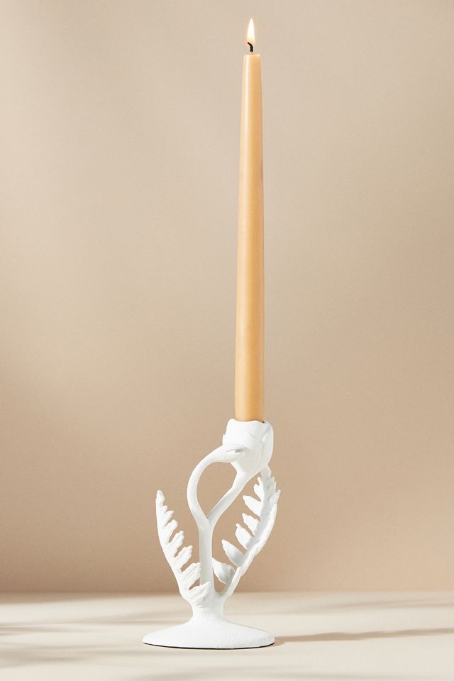 Fiddlehead Fern Taper Candle Holder #1