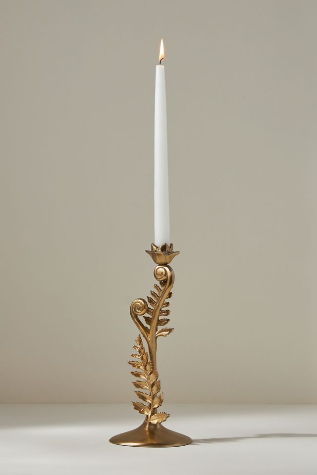 Fiddlehead Fern Metal Taper Candle Holder #5