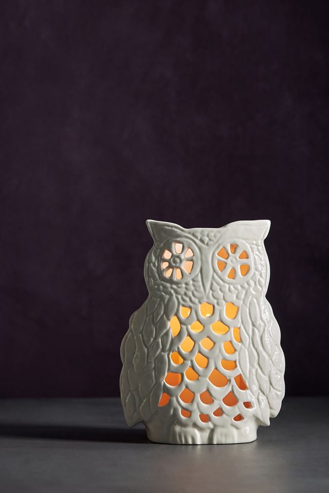 Francesca Kaye Halloween Magic Owl Lantern #3