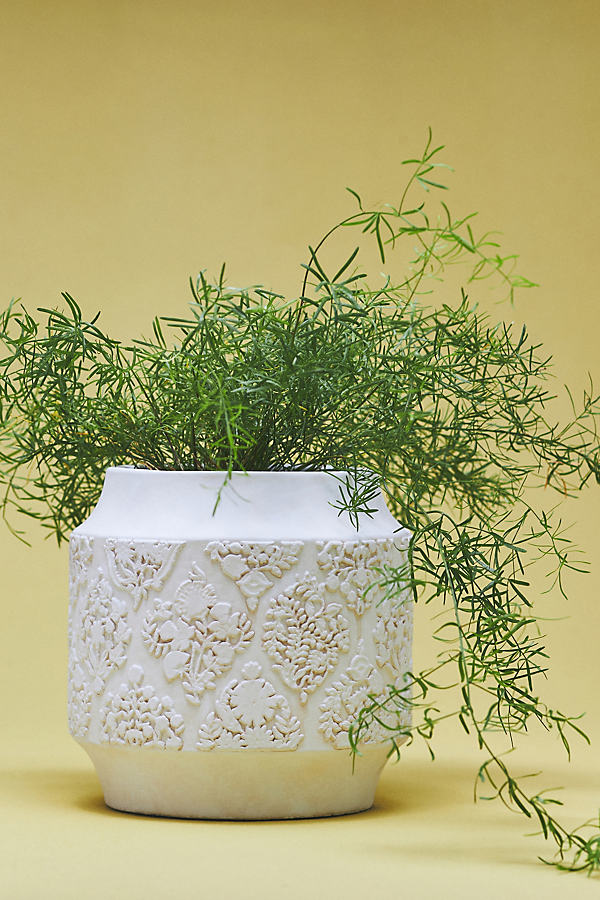 Brynn Carved Plant Pot