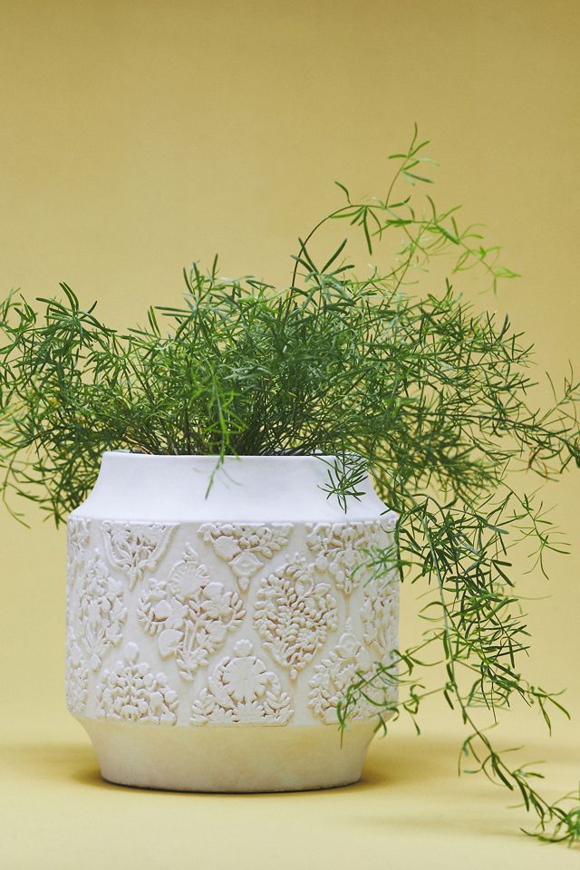 Brynn Planter, Large