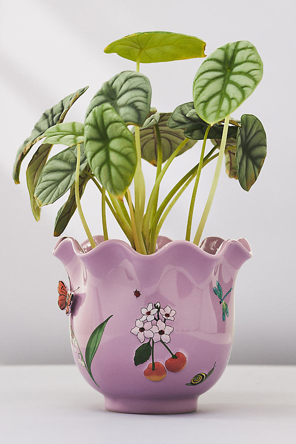 Anthropologie Faye Glazed Stoneware Plant Pot In Pink