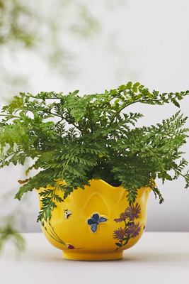 Anthropologie Faye Glazed Stoneware Plant Pot In Green | ModeSens