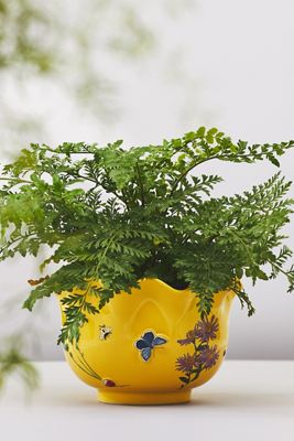 Faye Planter