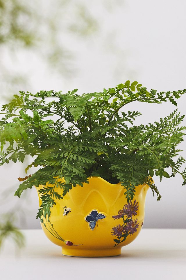 Faye Planter