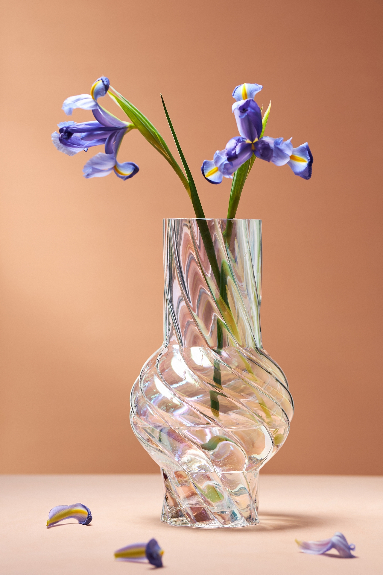 Corinne Twisted Glass Vase