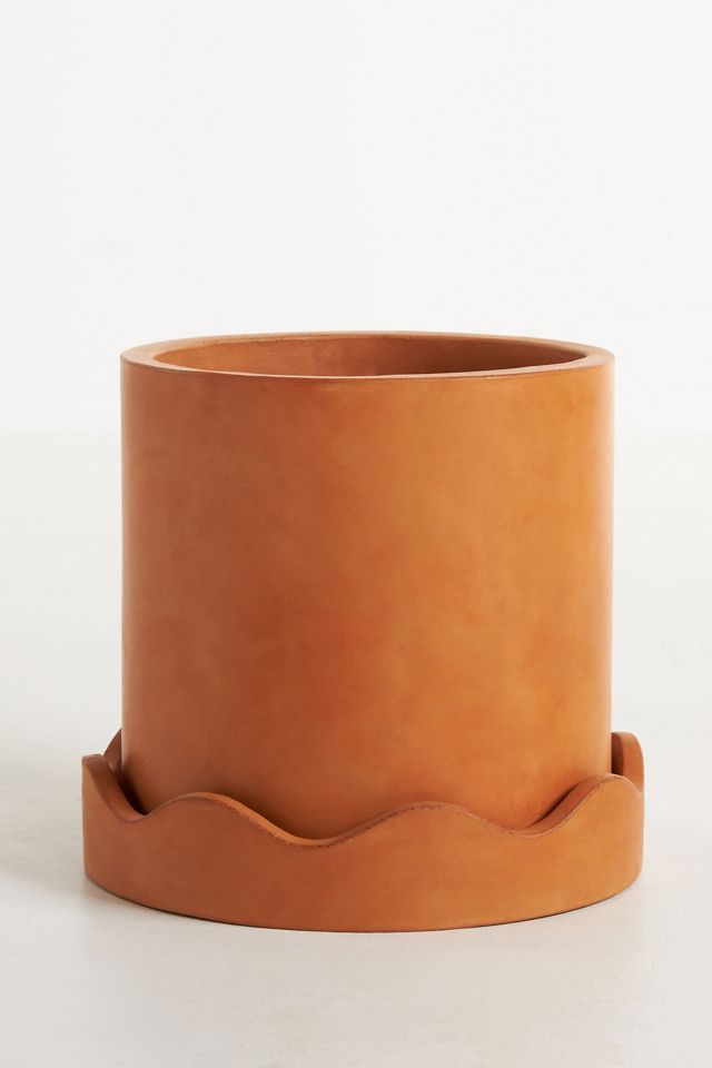 Scalloped Terracotta Pot #3