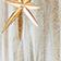 Confetti - Gold/White