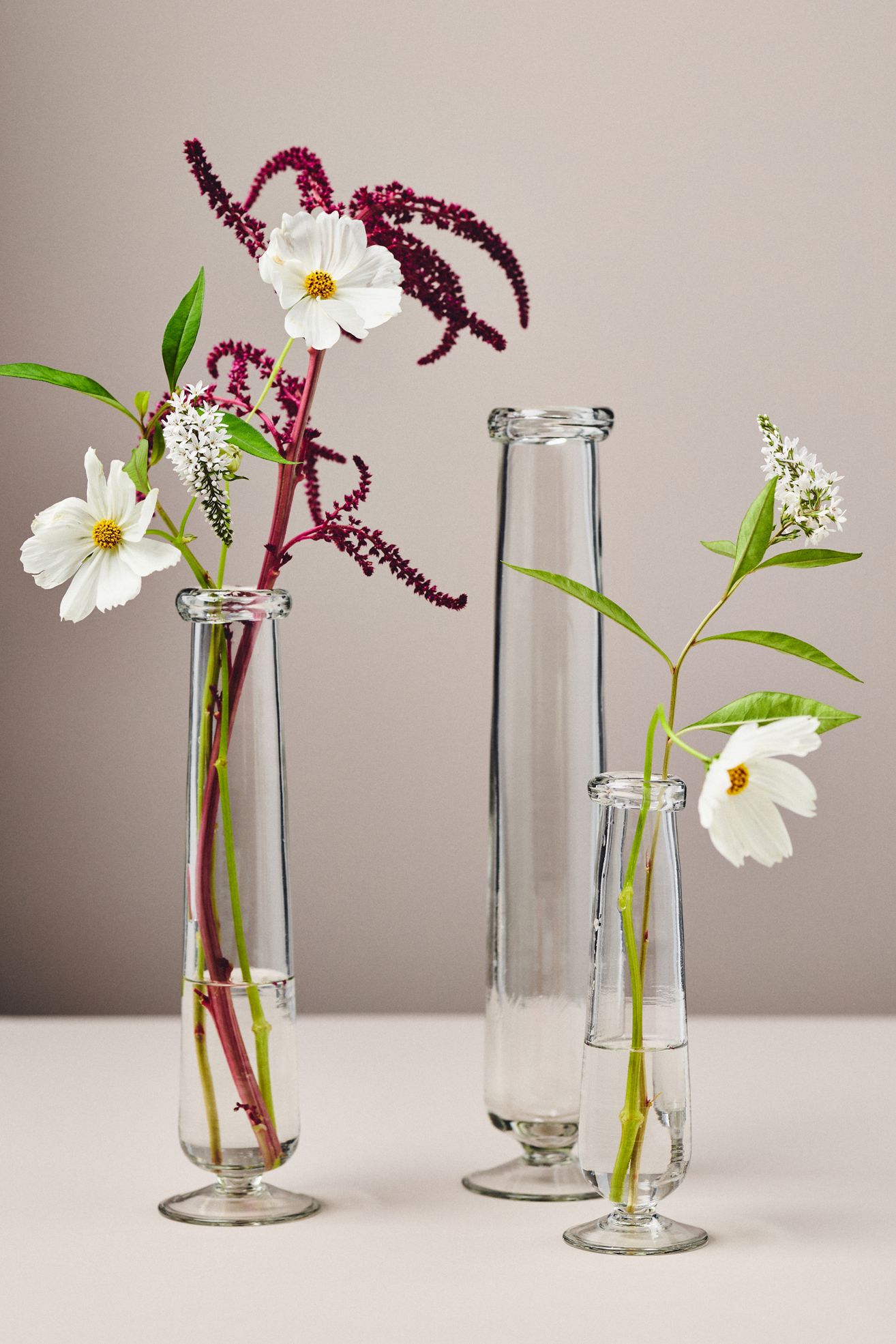 Julia Glass Stem Vase - Clear, Standard, M