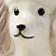 Poodle